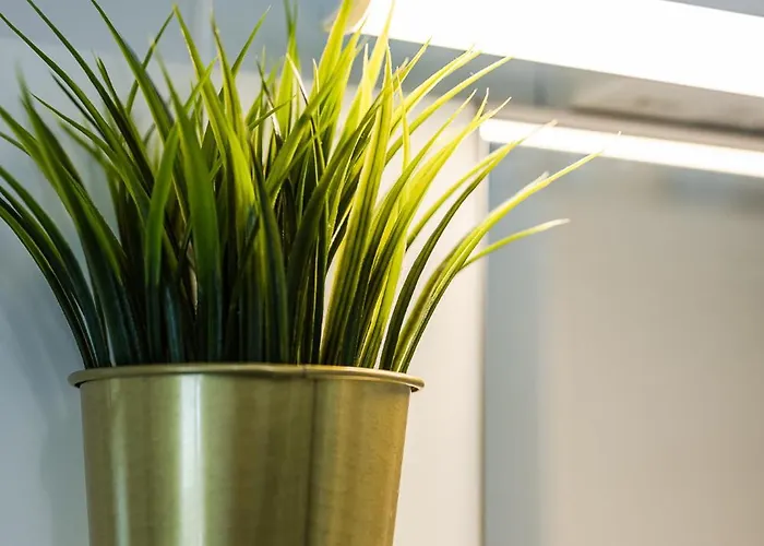 *love'n Fly * Airport- Ducati *