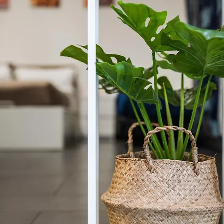 Apartment *love'n Fly * Airport- Ducati